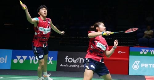 与本土新星